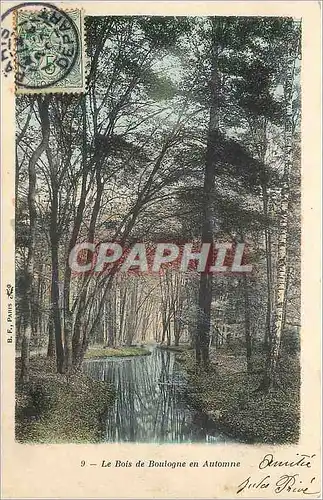 Cartes postales Le Bois de Boulogne en Automne