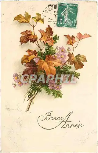 Cartes postales Bonne Annee