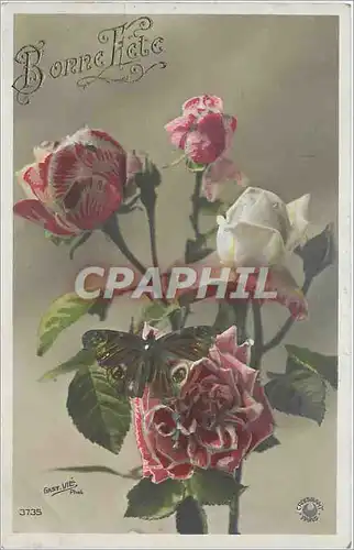 Cartes postales Bonne Fete Fleurs Papillon