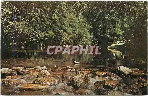 Cartes postales moderne The New Bob Hall Pier