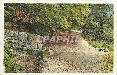 Cartes postales Hotellerie de la Sainte Baume St Zacharie Var