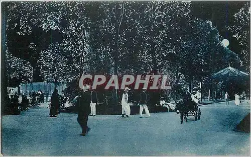 Ansichtskarte AK Vittel La Nuit Dans le Parc Ane Mule