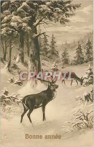 Cartes postales Bonne Annee Cerf