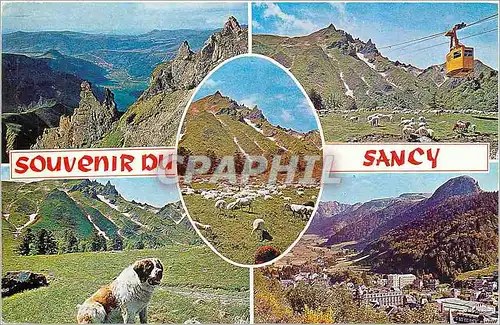 Cartes postales moderne Souvenir de Sancy Puy de Dome Chien