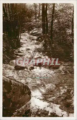 Cartes postales Abbaye de la Pierre qui Vire Le Trinquelin