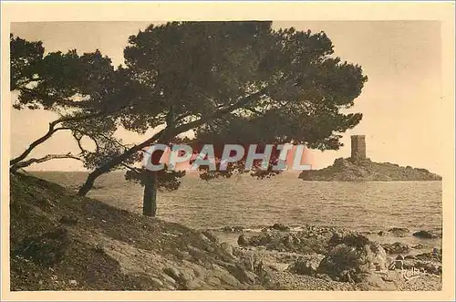 Cartes postales La Corniche d'Or L'ile d'Or depuis le Dramont Plage