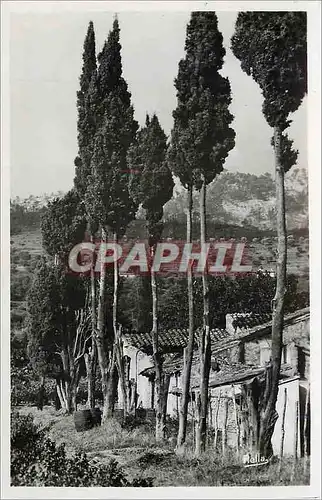 Cartes postales moderne La Cote d'Azur Paysage provencal