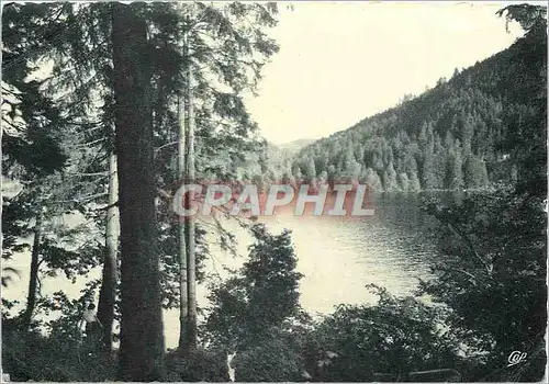 Moderne Karte Gerardmer Les Bords du Lac