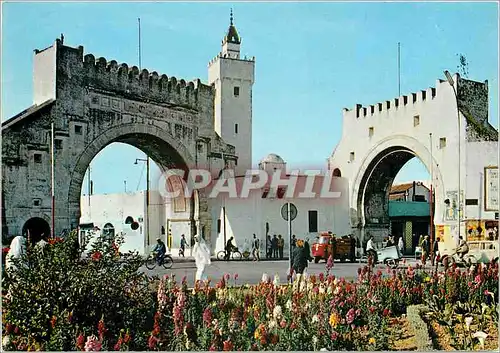 Cartes postales moderne Tunis Bab El Khadhra