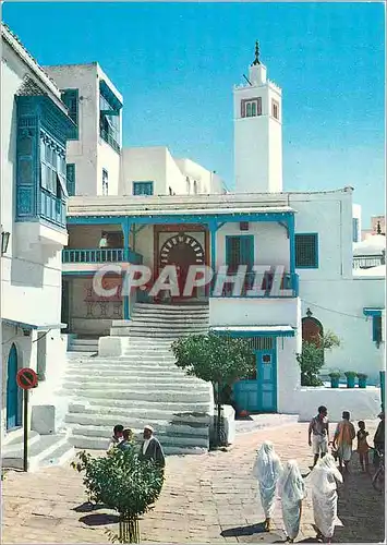 Cartes postales moderne Sidi Bou Said Cafe des Nattes