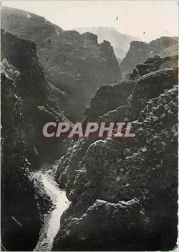 Cartes postales moderne Les Gorges de Daluis AM