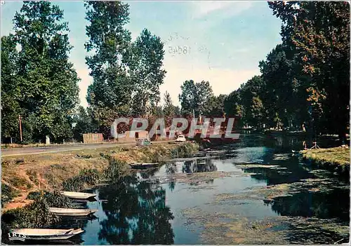 Cartes postales moderne Marais Poitevin La Venise Verte Paysage pittoresque de la Venise Verte