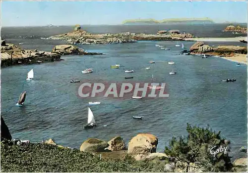 Cartes postales moderne Tregastel C du N Le Port