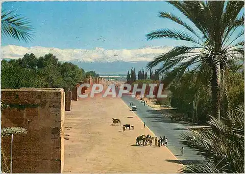 Cartes postales moderne Marrakech Les remparts et le Grand Atlas