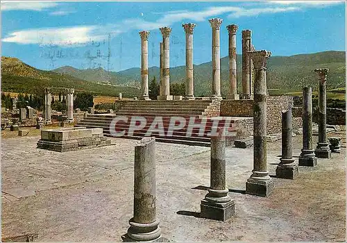 Cartes postales moderne Volubilis Ruines Romaines