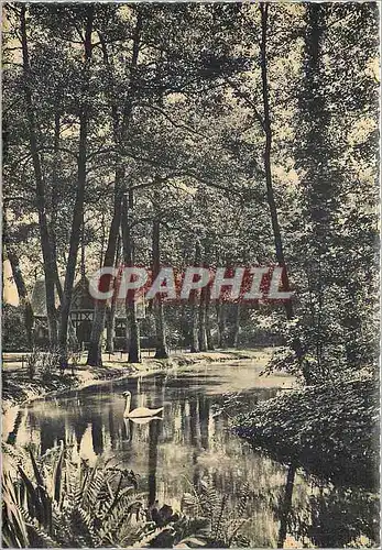 Cartes postales moderne Vittel Dans le Parc Un coin du Lac