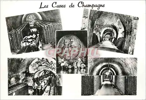 Cartes postales moderne Les Caves de Champagne Epernay