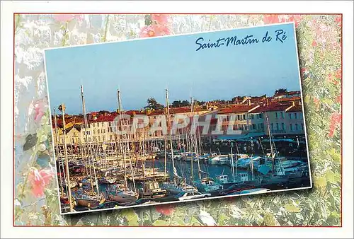 Cartes postales moderne Saint Martin de Re