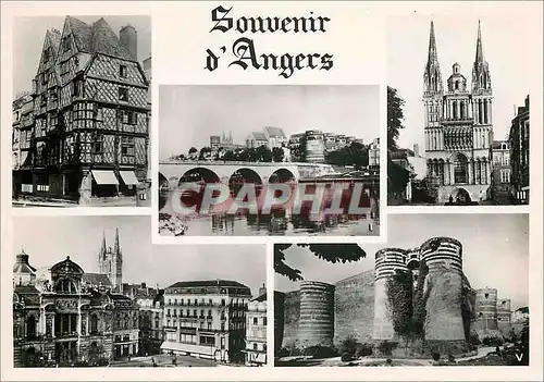 Cartes postales moderne Angers Le Pont de la Basse Chaine La Maison d'Adam La Cathedrale Saint Maurice