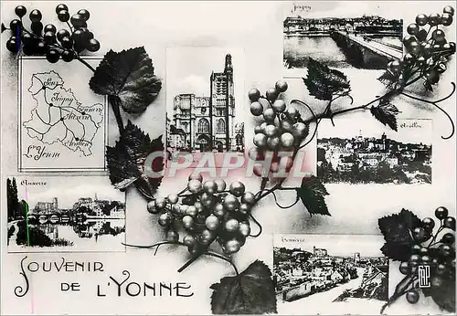 Cartes postales moderne Souvenir de l'Yonne Auxerre Joigny Avallon Tonnerre