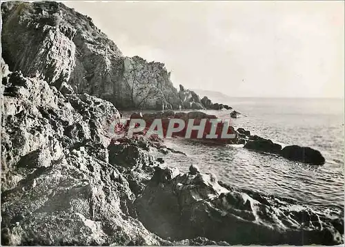 Cartes postales moderne Les Bords de la Riviera Calanques sur La Cote