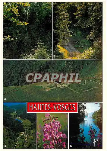Cartes postales moderne Hautes Vosges Le saut de la Bourrique Chemin forestier Vue panoramique sur le sommet du Hohneck