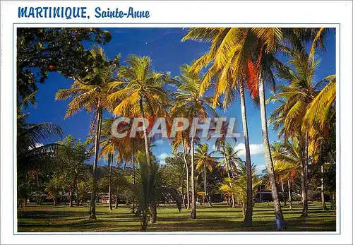 Cartes postales moderne Martinique Sainte Anne