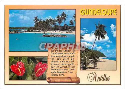 Moderne Karte Guadeloupe Antilles