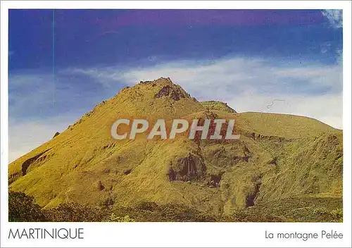 Cartes postales moderne Martinique La montagne Pelee