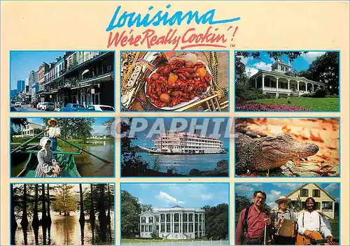Cartes postales moderne Louisiana We're really cooking