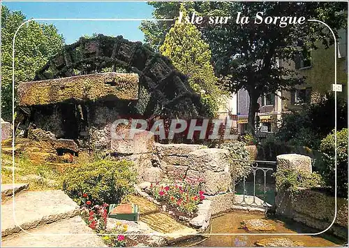 Cartes postales moderne L'Isle sur la Sorgue Vaucluse La Venise du Comtat Venaissin