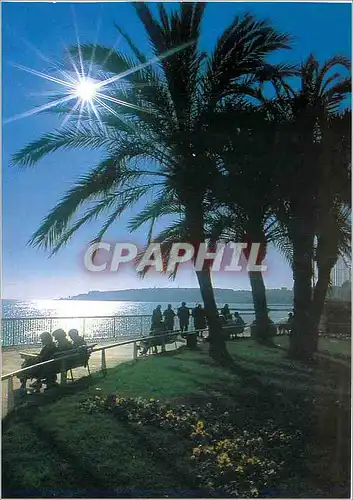 Cartes postales moderne Menton Alpes Maritimes Promenade sur le bord de mer