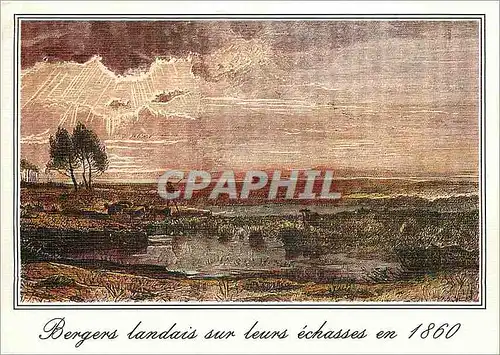 Cartes postales moderne Landes Bergers landais sur leurs echasses