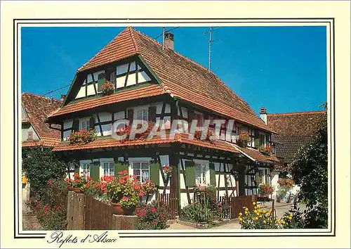 Cartes postales moderne Maisons Alsaciennes a colombages