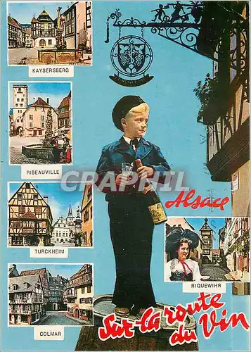 Cartes postales moderne Alsace Sur la route du Vin