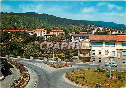 Cartes postales moderne S Fiora Panorama