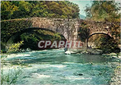 Cartes postales moderne Les Pyrenees Ariegeoises D'argent ou le soleil de la montagne