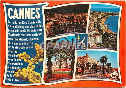 Cartes postales moderne La Cote d'Azur Souvenir de Cannes