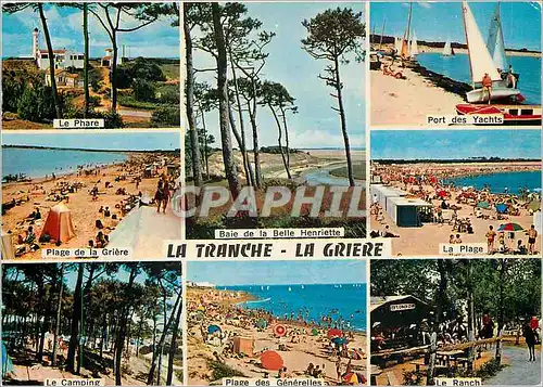 Cartes postales moderne La Tranche sur Mer La Griere Vendee