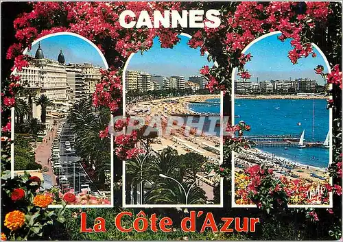 Moderne Karte La Cote d'Azur Cannes La Croisette et la plage