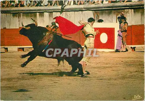 Moderne Karte Corrida Aux Arenes Romaines Une Belle Passe
