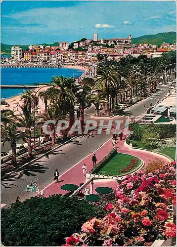 Cartes postales moderne Cannes Alpes Maritimes La Promenade de la Croisette