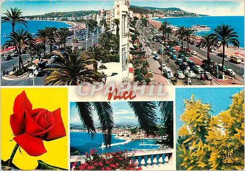 Cartes postales moderne La Cote d'Azur Nice La Promenade des Anglais