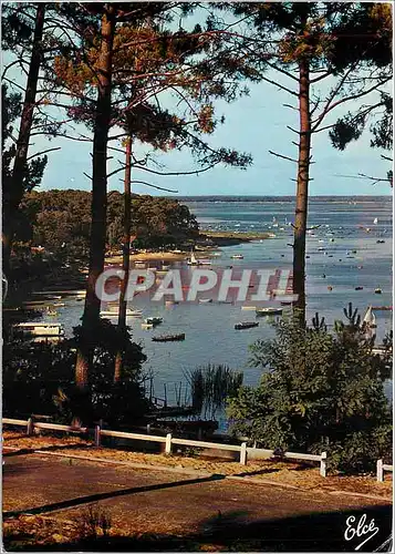 Cartes postales moderne Bassin d'Arcachon Gironde Echappee sur le Bassin