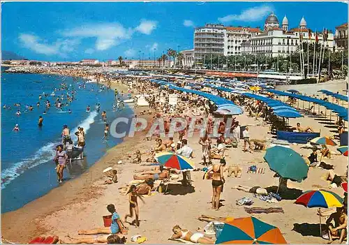 Cartes postales moderne Saint Raphael La Plage