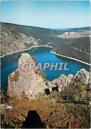 Cartes postales moderne Les Hautes Vosges Le Lac Blanc