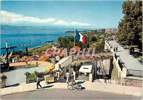 Cartes postales moderne Thonon les Bains Le Belvedere panorama sur le Port