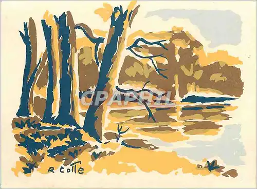 Cartes postales moderne Etang du Theil Parthenay Deux Sevres