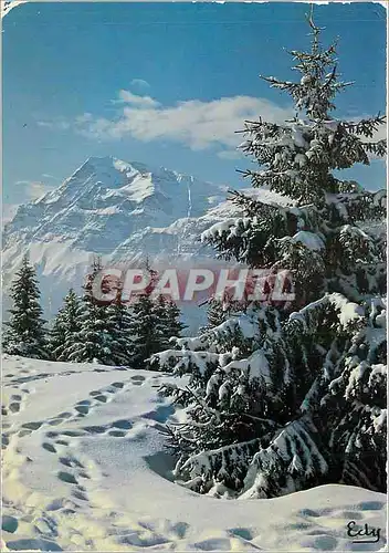 Cartes postales moderne Images de Chez Nous Matin d'hiver