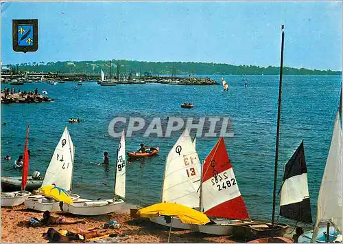 Cartes postales moderne Cannes La Pointe du Palm Beach